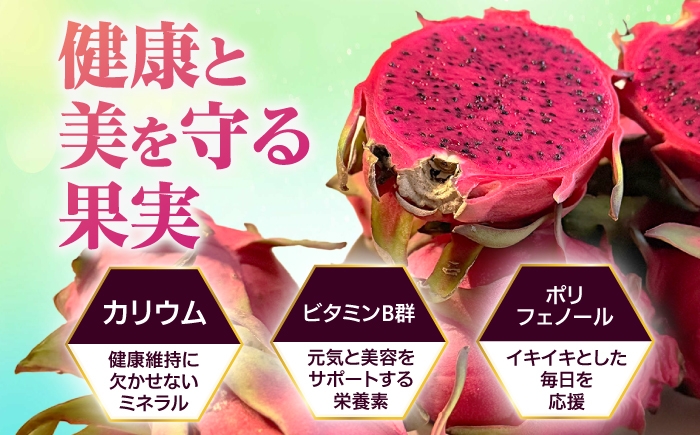 フルーツ ふるーつ Fruit 赤 果肉 レッド ピタヤ 青果 果実 国産 産地直送 産直 果物 火龍果 トロピカル くだもの