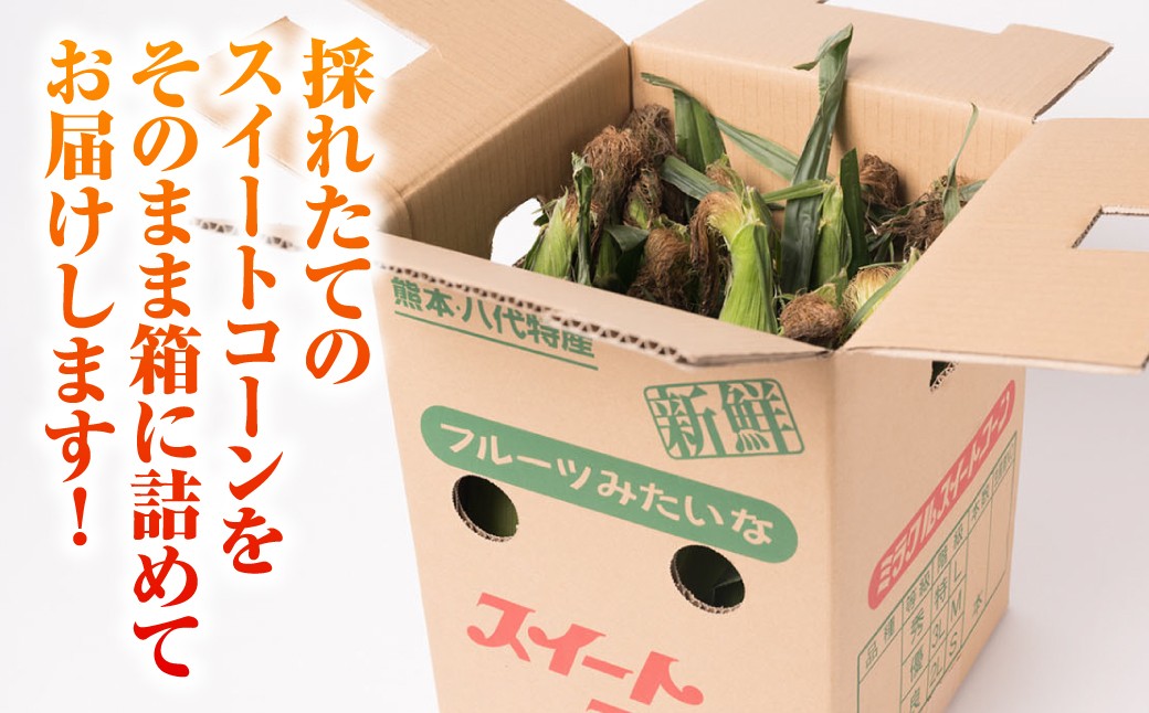 採れたてのスイートコーンをそのまま箱に詰めてお届けします！