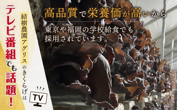 きくらげのぷりぷり食感と明太子のピリッとした辛みが最高のご飯のお供！