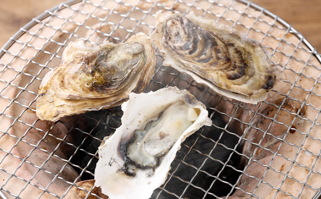 戸石町産 殻付き牡蠣 約2kg（約20個／加熱用）