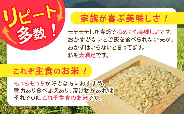 滋賀県 ミルキークイーン 玄米 10kg げんまい コメ 米 お米 みるきーくいーん 人気 おすすめ 特別栽培米 ごはん ご飯