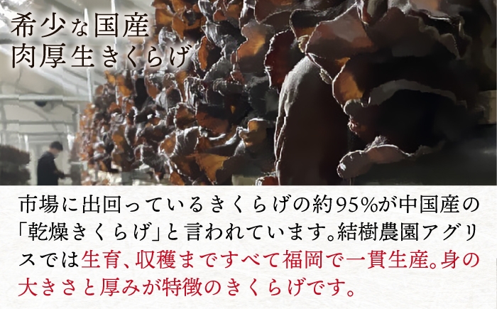 きくらげのぷりぷり食感と明太子のピリッとした辛みが最高のご飯のお供！