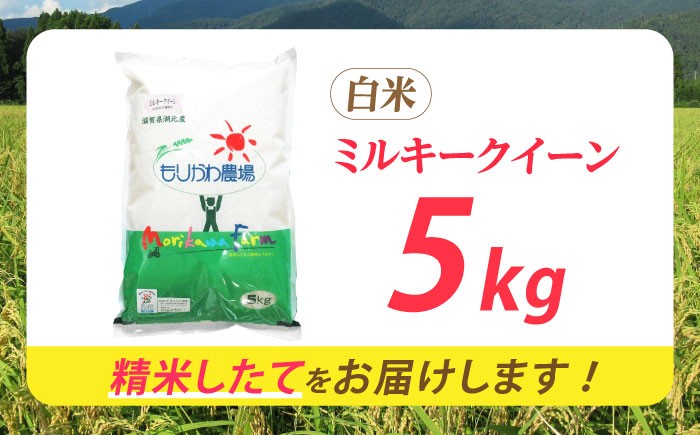 滋賀県 低農薬栽培 ミルキークイーン 白米 5kg 米 お米 白米 ご飯 ごはん ゴハン 人気 おすすめ 5キロ