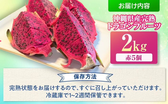 フルーツ ふるーつ Fruit 赤 果肉 レッド ピタヤ 青果 果実 国産 産地直送 産直 果物 火龍果 トロピカル くだもの