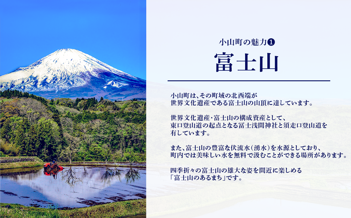 【 定期便 6ヶ月 】富士山 の 強炭酸水 1L×15本 × 6回