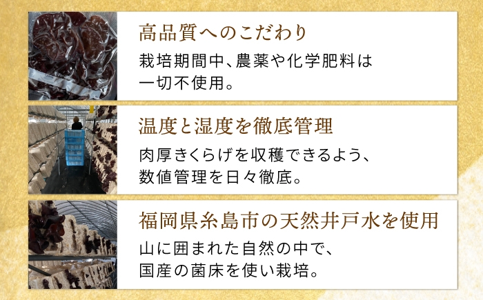 きくらげのぷりぷり食感と明太子のピリッとした辛みが最高のご飯のお供！