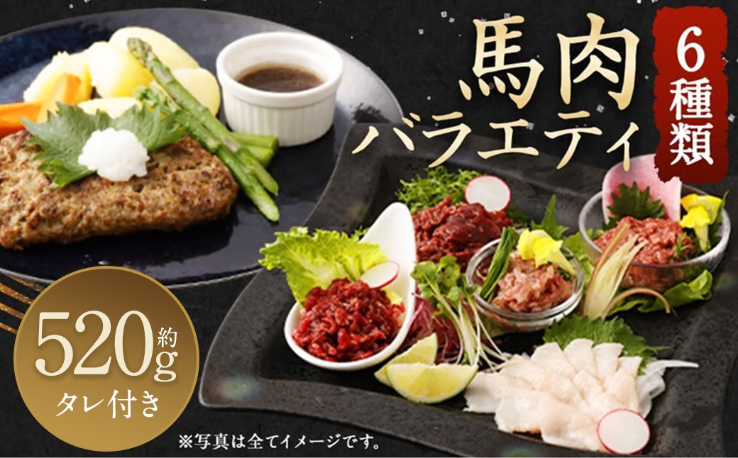 6種 馬肉 バラエティ 約520g