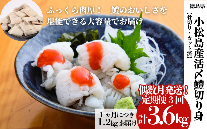 （調理例）ハモの湯引き