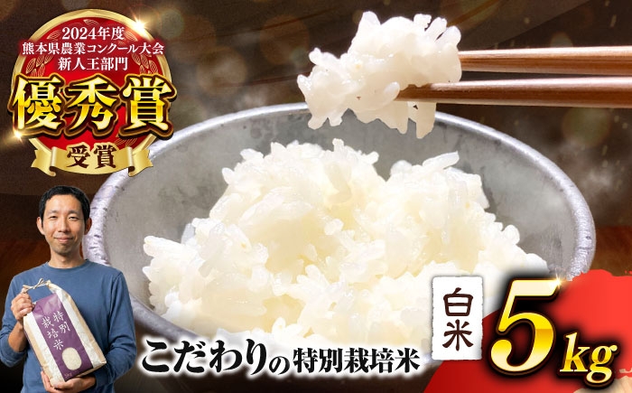 くまさんの輝き 白米 5kg (1袋)   米 お米 白米 ライス こめ お米 5キロ