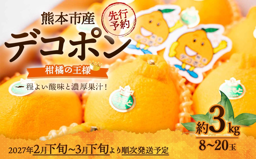 デコポン 約5kg
