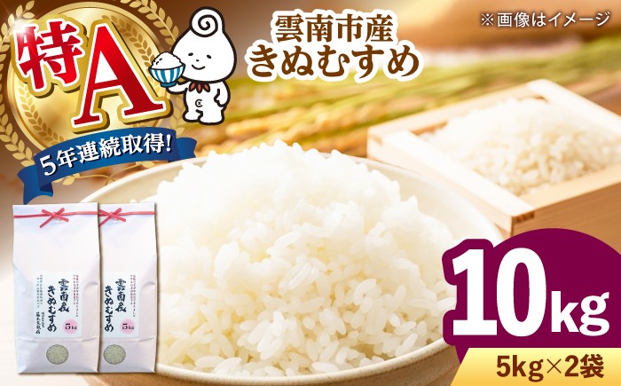 米 10キロ 特A米 きぬむすめ 米10㎏