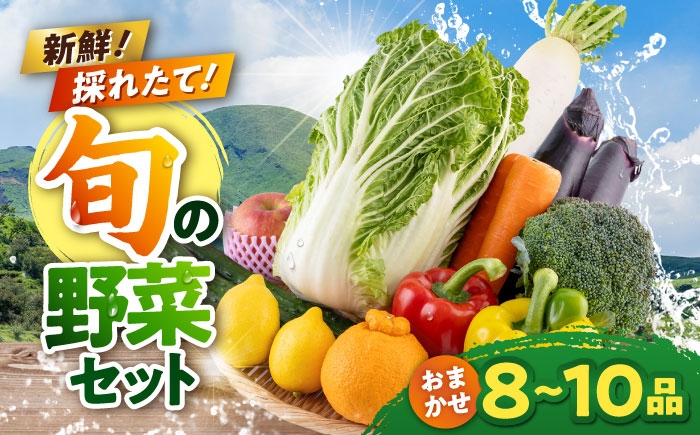 旬の野菜 おまかせ 詰め合わせ セット 8〜10品目