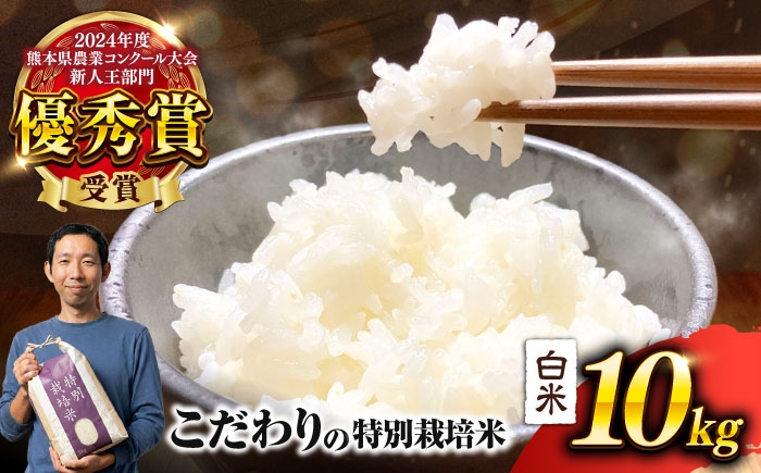 くまさんの輝き 白米 10kg (1袋)  米 お米 白米 お米 10キロ