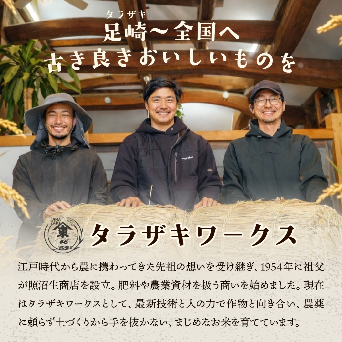 こしひかり コシヒカリ ごはん ご飯 ライス ふくまる フクマル お米 米 こめ コメ 白米 精米