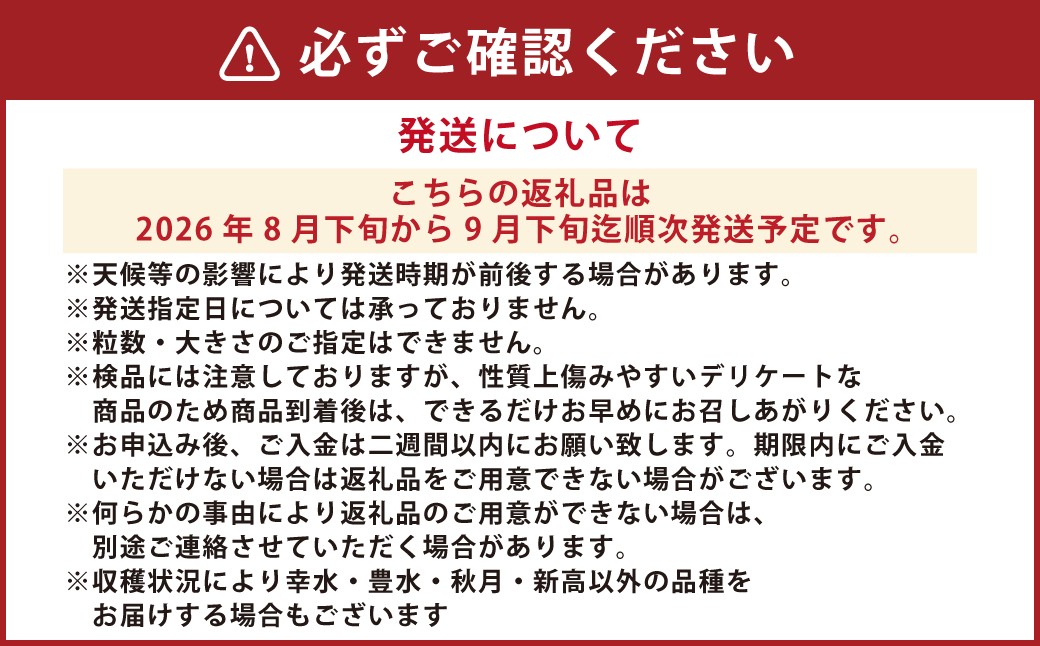 熊本市産 梨(幸水・豊水・秋月・新高など) 約4kg