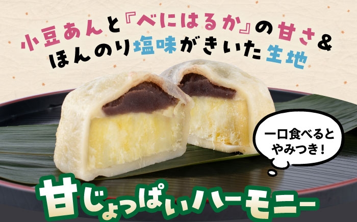 いきなり団子 約100g×20個入