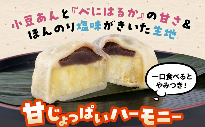いきなり団子 約100g×10個入