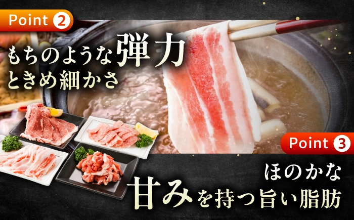 バラエティセット約1,200g (肩ロース・バラ・小間切れ・豚トロ 各300g)