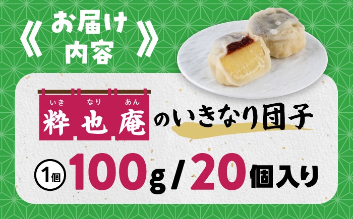 いきなり団子 約100g×20個入