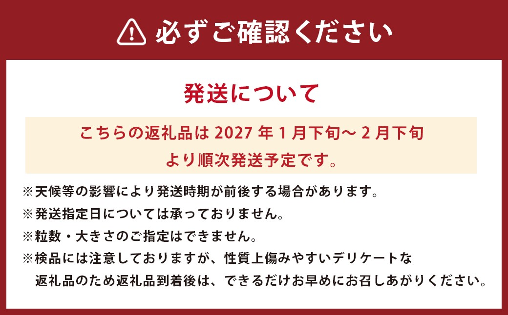 パール柑 【規格外品】ご家庭用 約10kg サイズ不選別