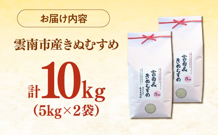 米 10キロ 特A米 きぬむすめ 米10㎏