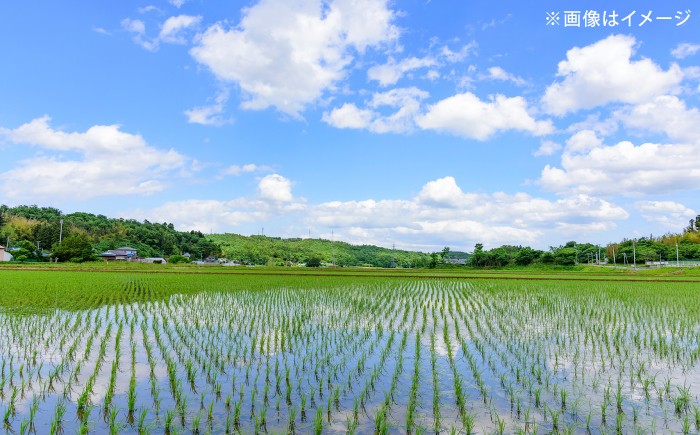米 定期便 10キロ 特A米