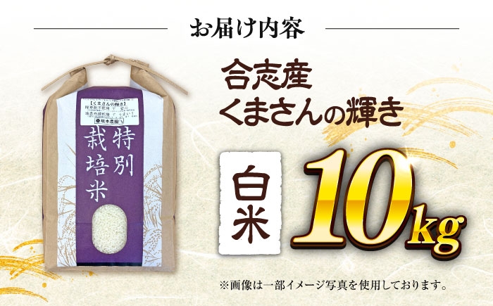 くまさんの輝き 白米 10kg (1袋)  米 お米 白米 お米 10キロ