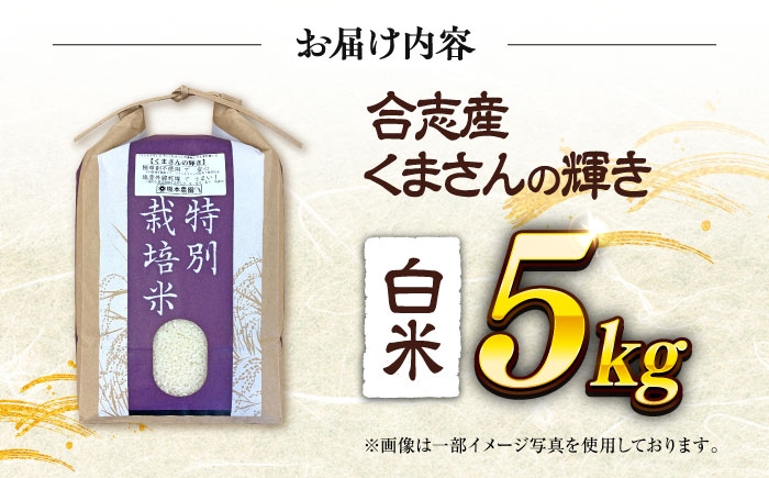 くまさんの輝き 白米 5kg (1袋)   米 お米 白米 ライス こめ お米 5キロ