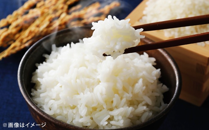 米 定期便 5キロ 特A米