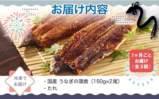上記のように梱包し発送します（画像は2尾のものです）