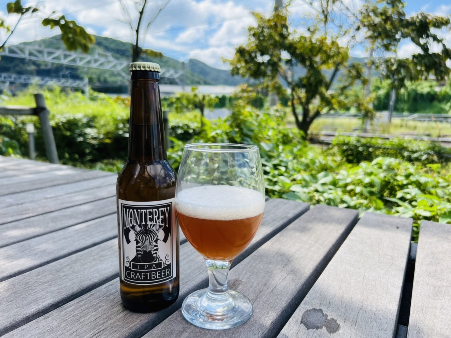 HAZY IPA ヘイジーアイピーエー