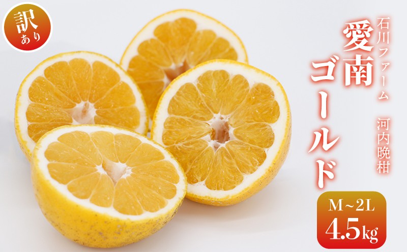 愛南ゴールド　愛媛県愛南町産