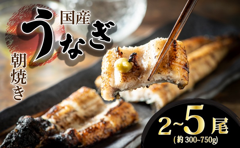柳川朝焼きうなぎ 2尾入 約150g×2 合計約300g タレ・山椒3袋