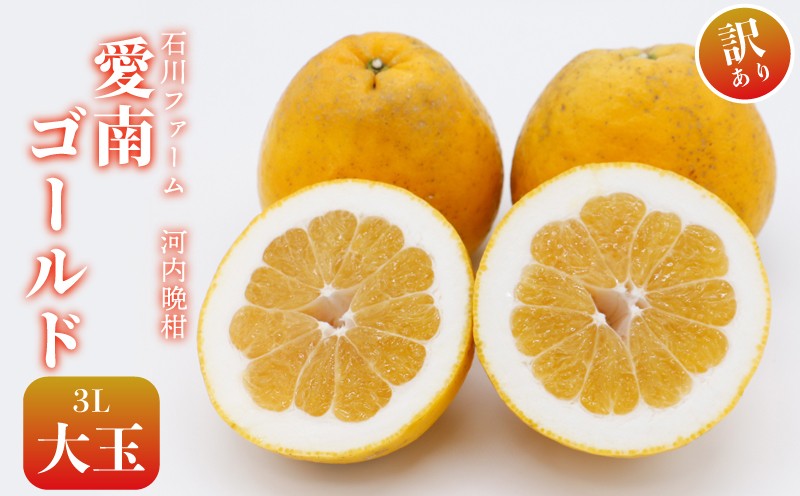 愛南ゴールド　愛媛県愛南町産