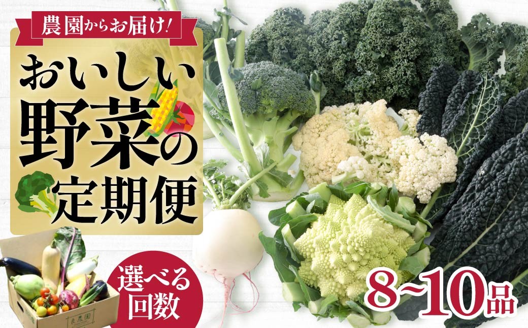 野菜ソムリエが送る 旬野菜セット 8～10品 西洋野菜 一般野菜