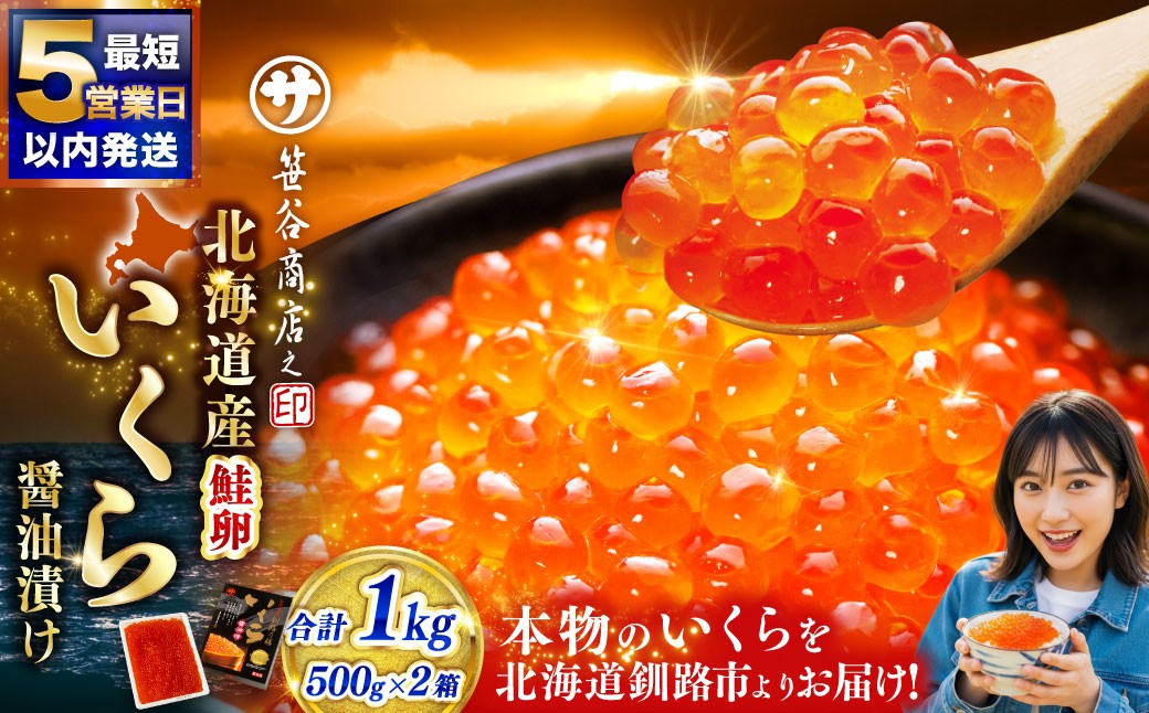 いくら500g×2箱