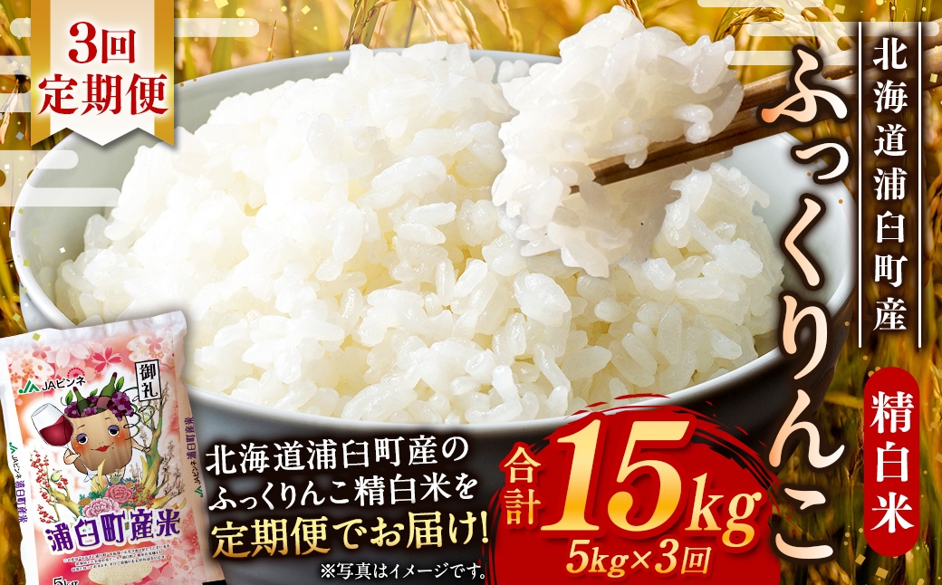 【 3回定期便 】 浦臼産 ふっくりんこ 精白米 5kg