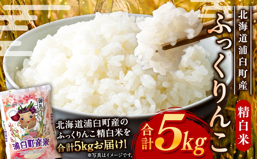 浦臼産 ふっくりんこ 精白米 5kg