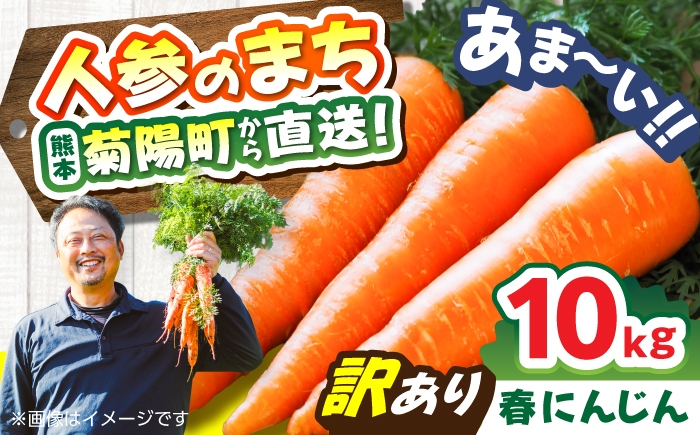 にんじん アロマレッド 翔彩 菊陽にんじん 西洋にんじん ニンジン 人参 野菜 熊本 菊陽