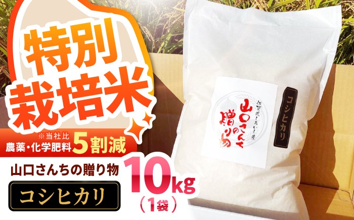 令和7年産新米コシヒカリをいち早くお届け！