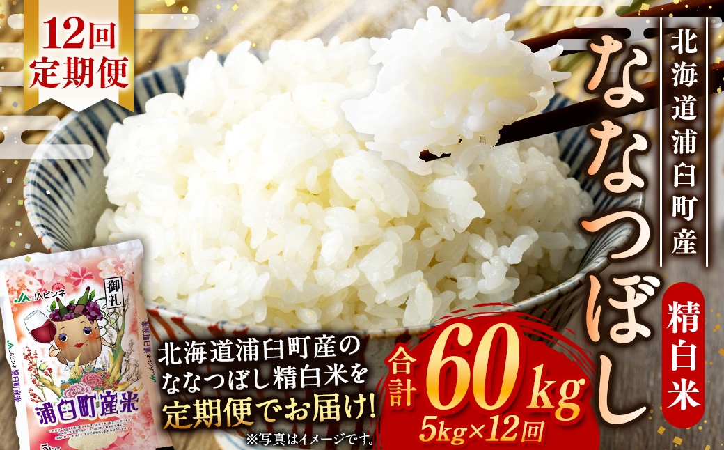 【 12回定期便 】浦臼産 ななつぼし 精白米 5kg