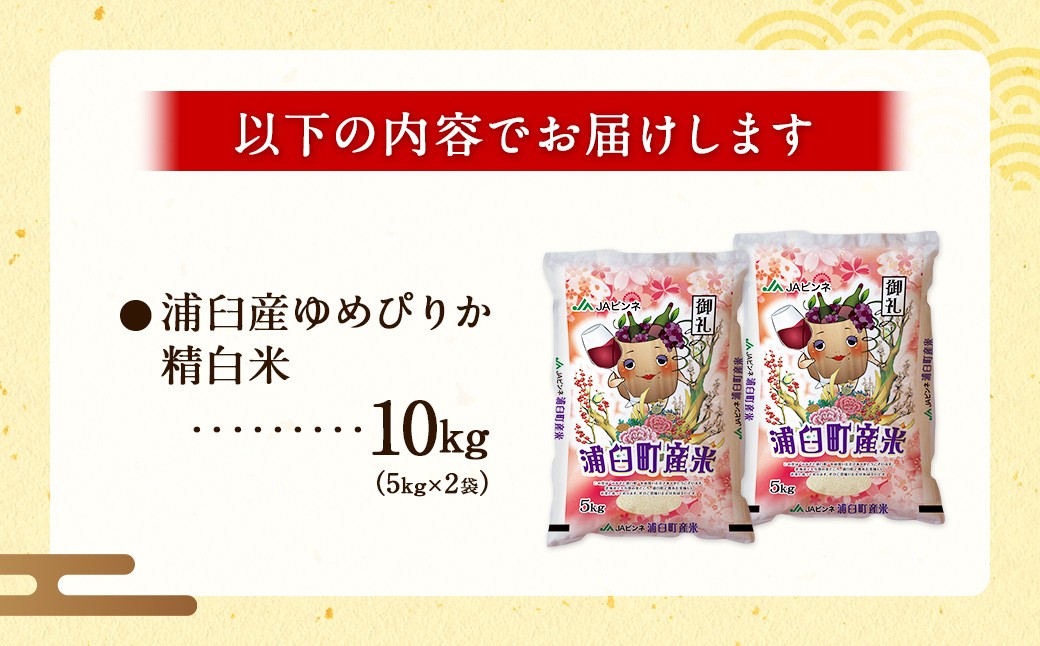 浦臼産 ゆめぴりか 精白米 10kg （ 5kg × 2袋 ）