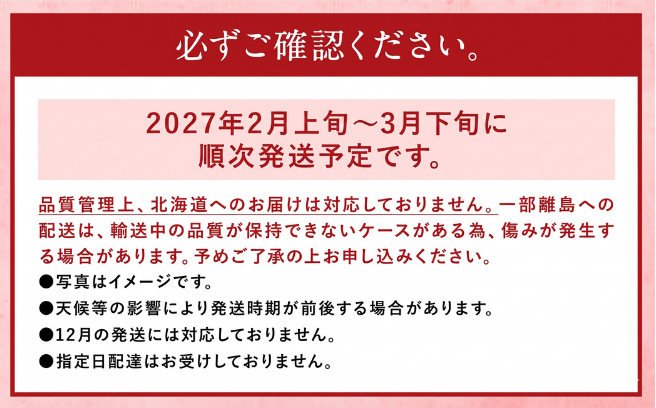 あまおう 等級G 約280g×2パック 計約560g