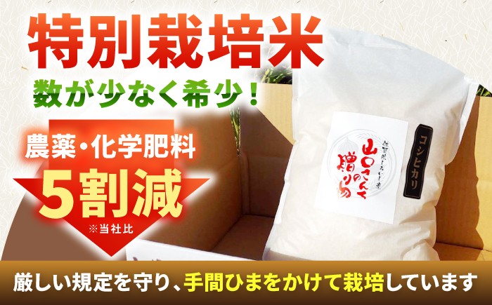 令和7年産新米コシヒカリをいち早くお届け！