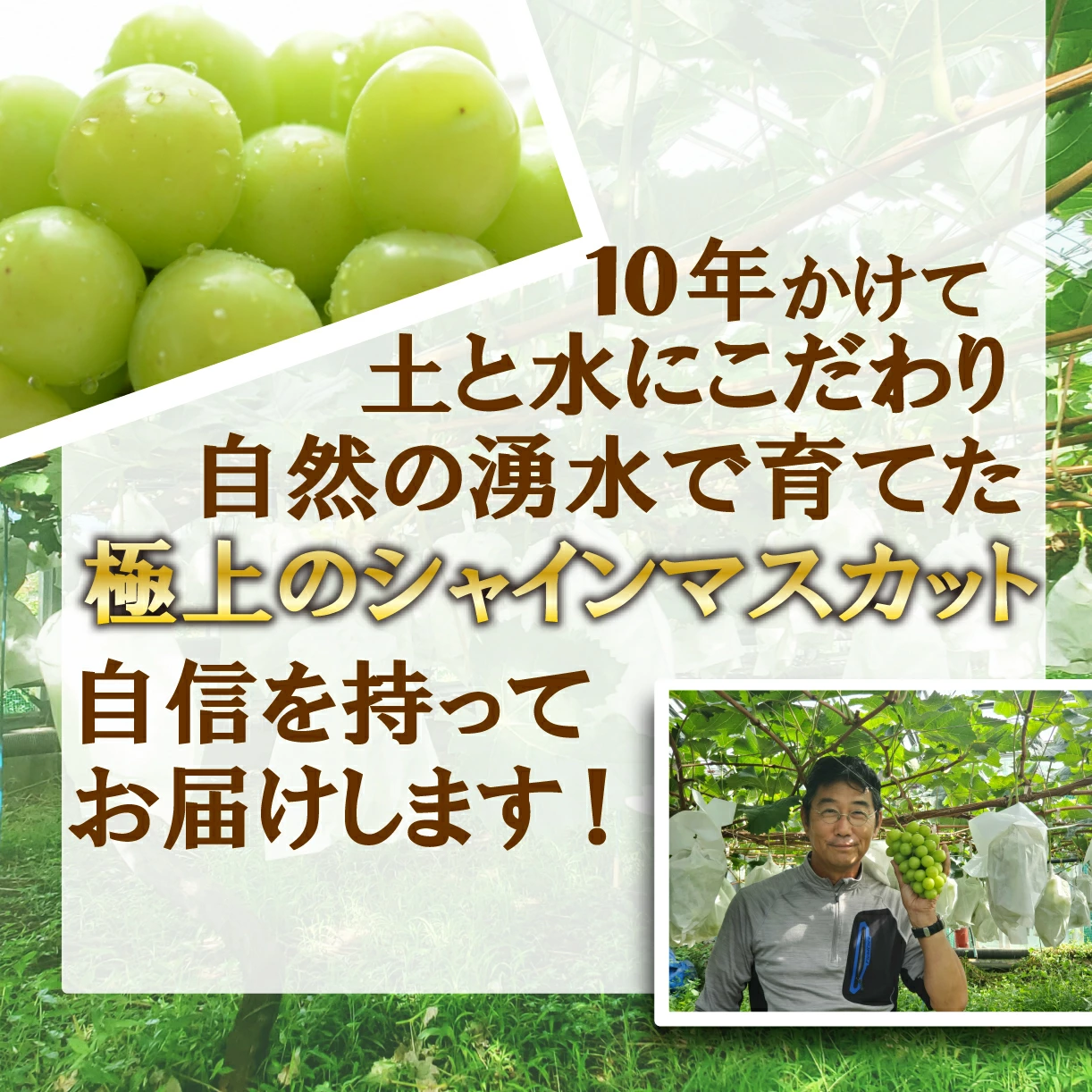 小さいお子さんに大人気！