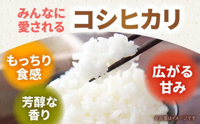 令和7年産新米コシヒカリをいち早くお届け！