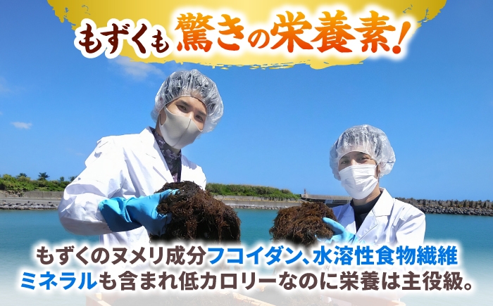 モズク 太もずく しゃぶしゃぶ 国産 沖縄県産 極太モズク 沖縄県 沖縄市