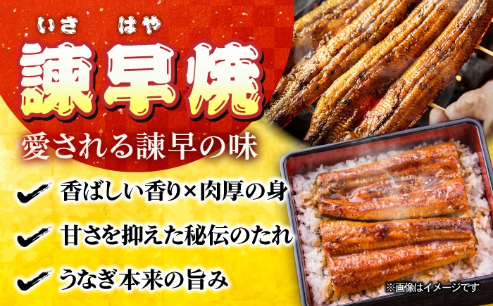 国産 うなぎ 鰻 ウナギ 蒲焼 うなぎ 蒲焼き うなぎ うなぎ ウナギ 定期便 鰻 うなぎ ウナギ 鰻 人気 unagi 冷凍