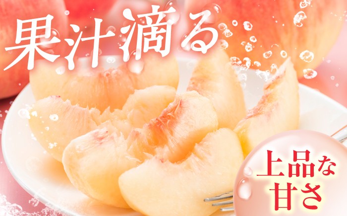 桃 果物 化粧箱 桃 もも モモ 1kg 2kg
