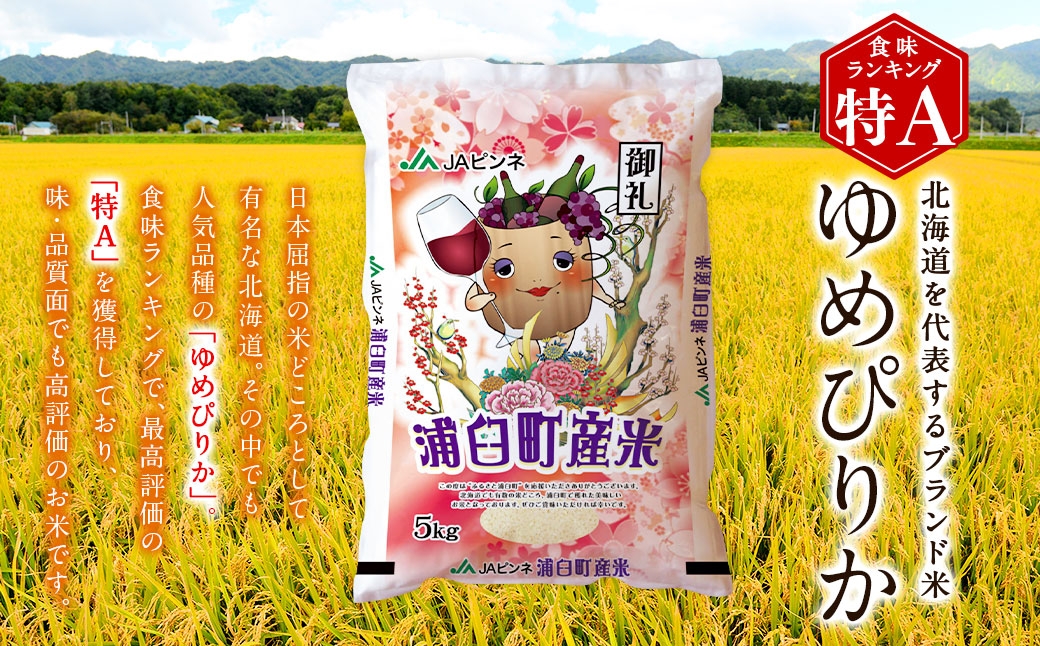 浦臼産 ゆめぴりか 精白米 10kg （ 5kg × 2袋 ）